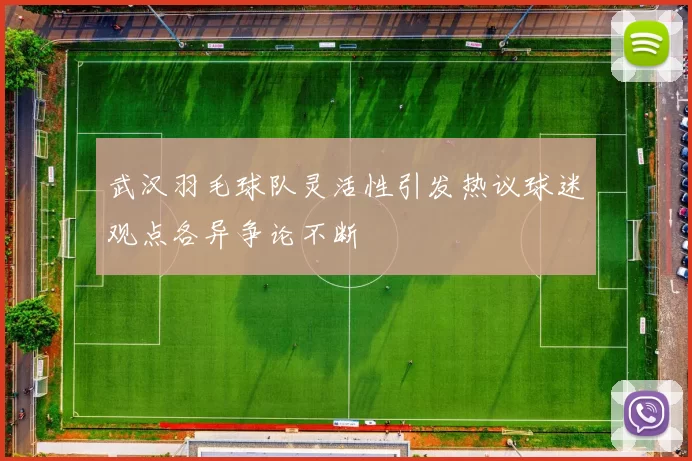 武汉羽毛球队灵活性引发热议球迷观点各异争论不断