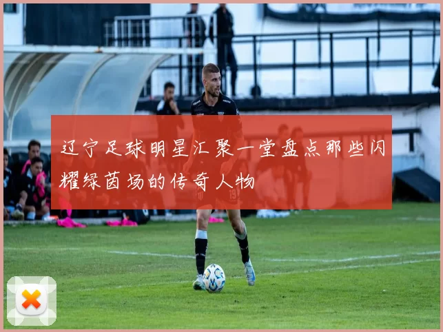 辽宁足球明星汇聚一堂盘点那些闪耀绿茵场的传奇人物