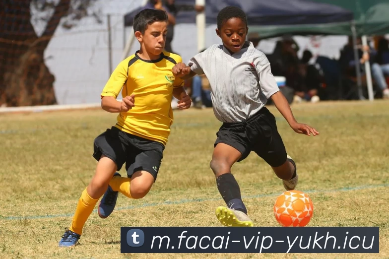 开云体育注册APP 高清赛事图